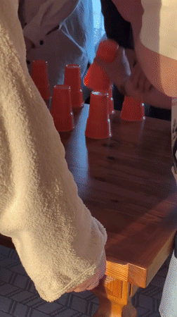 Friends gather for games and recreation at Belarus lakeside cabin