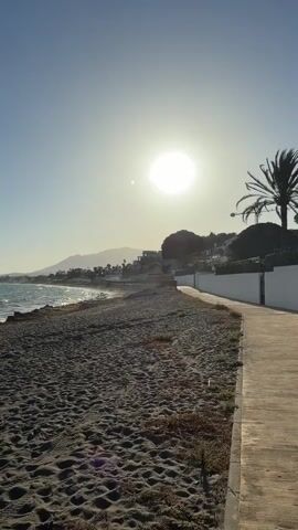 A vertical video captures a sunlit beach scene. The sun is high in the clear sky, casting a bright glare. On the left, a pebble and sand beach stretches along the coastline, with gentle waves lapping the shore. In the distance, mountains form a hazy silhouette against the horizon. To the right of the beach, a paved walkway runs parallel to the shore, bordered by a white wall. A single palm tree stands near the walkway, silhouetted against the sky. The overall atmosphere is serene and bright, suggesting a calm day by the sea.