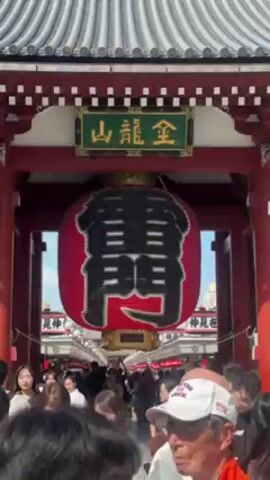 The video shows a crowded gate in Japan. The gate is red with a large red lantern hanging in the center with large black Japanese writing on it. There is also a sign on the gate with Japanese characters. People are walking through the gate in both directions, and the gate is surrounded by buildings with tiled roofs. It is daytime, and the sky is visible through the gate.