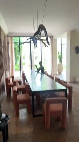 A man in a black tank top and light pink pants walks into a large room with a long, reflective dining table. He is holding a phone in his hand. He walks towards the window, looks out, and then walks away from the camera. The room has large windows overlooking a garden with palm trees and a swimming pool. There are several coral-colored chairs around the dining table. A distinctive, organic-shaped chandelier hangs above the table.