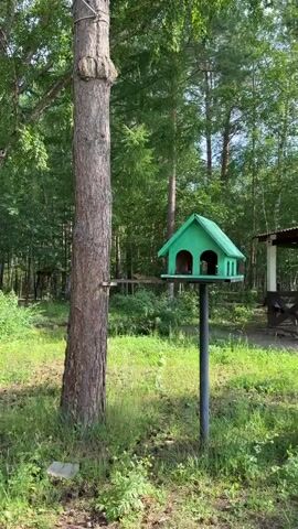 A chipmunk stands on a wooden plank attached to a tree. In the background, there is a green bird feeder on a pole and dense green foliage.