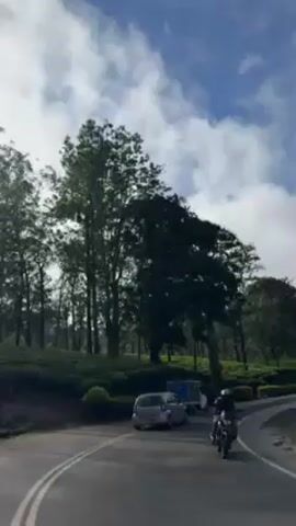 The video shows a vehicle moving along a winding asphalt road on a partially cloudy day. The road is marked with white lines. On one side, there are rows of green tea bushes and tall trees, and utility poles with overhead wires. Other vehicles are visible on the road including cars and three-wheeled vehicles. The sky is blue with scattered white clouds.