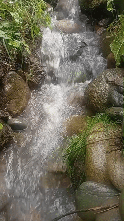 Rural Kyrgyz valleys: streams, foliage, and a wooden gatehouse