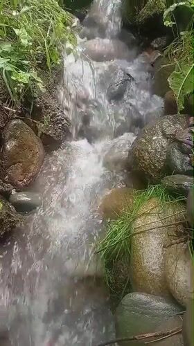 Rural Kyrgyz valleys: streams, foliage, and a wooden gatehouse