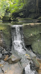 Woman enjoys quiet stream moment with child in Ko Samui