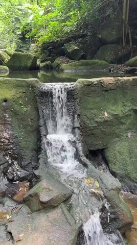 Woman enjoys quiet stream moment with child in Ko Samui