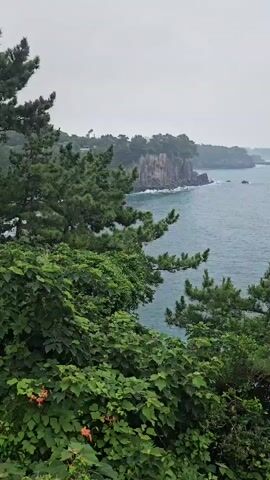 The video shows a scenic view of the ocean and coastline. The foreground is filled with lush green foliage, including leafy plants and pine trees, with some orange flowers visible at the bottom left. The middle ground features the ocean, with choppy, blue-gray water extending towards the horizon. Along the coastline, dramatic cliffs with dark rock formations are visible, with waves crashing against them. In the distance, a solitary, rounded island or rock formation emerges from the misty haze. The sky is overcast and a muted gray, contributing to a somewhat moody and serene atmosphere. The camera pans slowly to the right, revealing more of the coastline and the distant island.