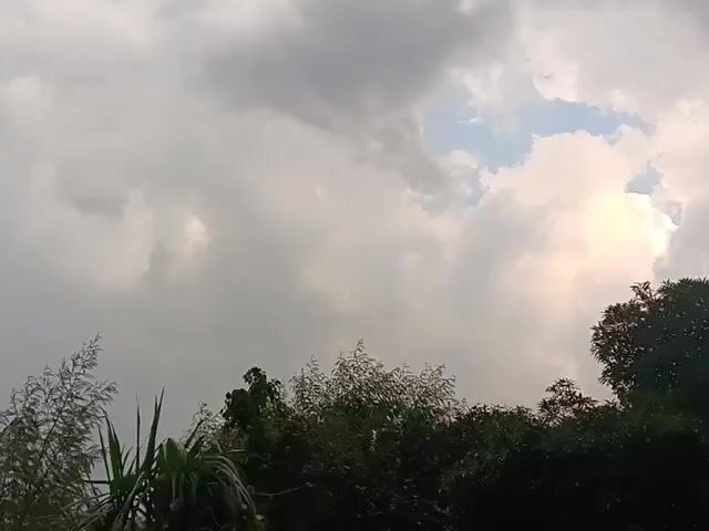 The video shows a landscape with trees and a cloudy sky. The trees are lush and green, with some appearing taller than others. The sky is filled with a mix of white and gray clouds, suggesting an overcast or stormy weather condition. The lighting is dim, contributing to the overall muted atmosphere. The camera appears to be stationary, capturing a wide view of the scene. There are no people or specific objects visible in the frame, making it a nature-focused recording. The overall impression is one of natural beauty and a potentially changing weather.
