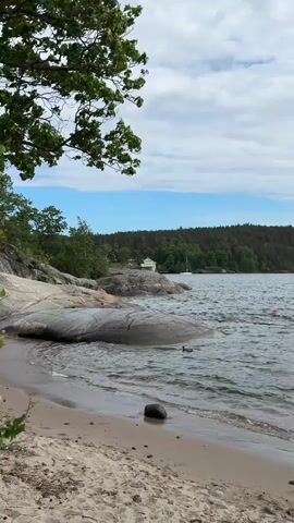 A static long shot shows a calm body of water with small waves on the right, and a sandy beach on the left, next to large, grey rocks. The beach has a dark, smooth rock at the water's edge, and small patches of green vegetation at the bottom left. In the distance, a tree branch extends from the top of the frame. On the opposite side of the water, a white building with a red roof sits on a hill, surrounded by green trees, with a sailboat anchored nearby. The sky is partly cloudy with patches of blue.