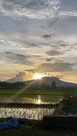 The video shows a sunset over a rural landscape. The sun is low in the sky, casting a warm glow on the clouds and the surrounding mountains. In the foreground, there is a flooded rice paddy, with the green shoots of rice plants visible. The water in the paddy reflects the colors of the sunset, creating a beautiful and serene scene. The overall mood is peaceful and tranquil, with a sense of natural beauty and harmony.
