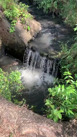 A video shows a small waterfall in a narrow, overgrown ditch. The water is dark and murky, with some foam and debris visible. Lush green vegetation lines the banks of the ditch. The waterfall appears to be a man-made structure, possibly a culvert or drainage channel. The overall impression is one of natural decay and neglect.