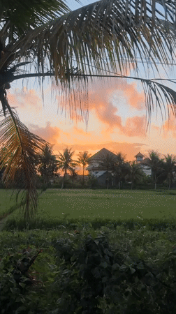Tropical sunset and market scenes captured in Ubud, Indonesia