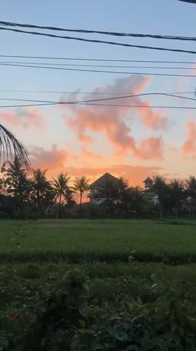 Tropical sunset and market scenes captured in Ubud, Indonesia
