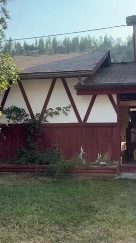 The video pans across the exterior of a building with a distinctive Tudor-style facade, featuring white stucco walls with dark red decorative beams. The building has a sloped, dark-shingled roof with a gutter. To the left, a large, leafy tree with red berries shades a portion of the yard. In the foreground, a well-maintained lawn is visible. Behind the tree, a garden area with various plants and some deer antlers is present. Further to the right, the building continues, showing more of the same architectural style with doors and windows. A picnic table with benches sits in the yard, and a barbecue grill with a propane tank is positioned near the building. The overall environment appears to be a residential or motel setting with a backdrop of wooded hills under a clear sky. No people are visible in the video.