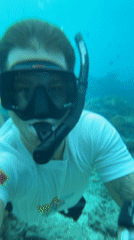 Snorkeler documents vibrant coral reef marine life in Nusa Penida