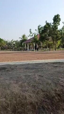 The video shows a wide shot of an outdoor scene. In the foreground, there is rough, dark soil with visible roots and dry grass. Moving further back, a flat, light brown area, possibly a field or dirt ground, occupies the mid-ground. In the background, a small, open-sided structure with a red roof is visible. Two people, appearing to be an adult and a child, are standing near this structure. The area around the structure and the field is surrounded by lush green trees and vegetation. The sky is clear and pale blue, suggesting daytime. The overall environment appears to be rural or semi-rural.