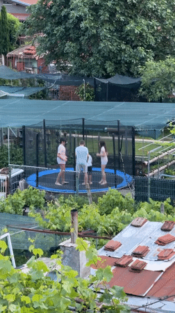 Family enjoys trampoline time in Burgas backyard