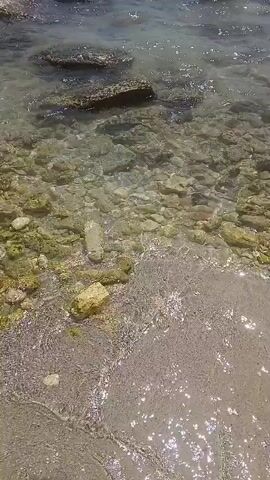 The video shows a body of water with rocks and a sandy shore. The water is clear and shallow, allowing the rocks on the bottom to be seen. Some of the rocks are covered in green algae. The waves are small and gentle. The sky is blue with a few scattered clouds. The scene is peaceful and serene.