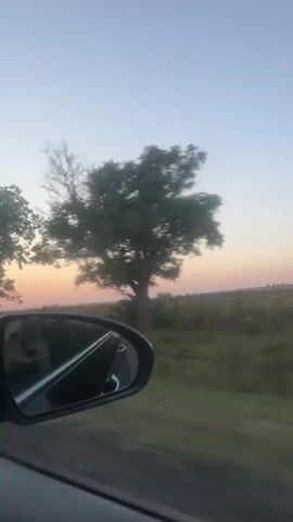 A car's side mirror reflects the passenger side of the vehicle and the sky. Through the car window, trees line a road, with a soft sunset visible in the distance. The sky is a pale blue, fading to pink and orange at the horizon. The scene suggests a drive at dusk.