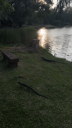 Evening lakeside park activity documented in Choeng Thale, Thailand