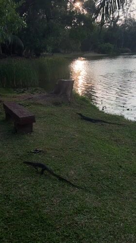 Evening lakeside park activity documented in Choeng Thale, Thailand