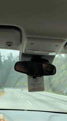 Vehicle drives through green forested highway near Santa María Huexoculco