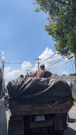 Three passengers ride in truck bed through Ubud streets