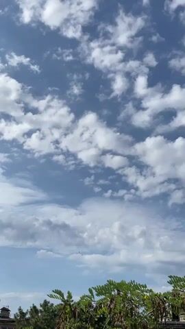 The video shows a partially cloudy sky with scattered white clouds against a blue backdrop. In the lower portion of the frame, lush green foliage from trees and shrubs is visible, with hints of buildings or structures peeking through the greenery. The lighting suggests it is daytime, likely with a slight breeze as indicated by the movement of the clouds. There are a few very small dark specks in the sky, possibly birds or insects, but they are too small to be definitively identified. The overall scene is natural and outdoor.
