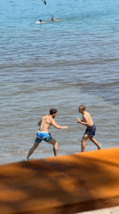 Beach scenes in Tsarevo show swimmers playing, person with rabbit