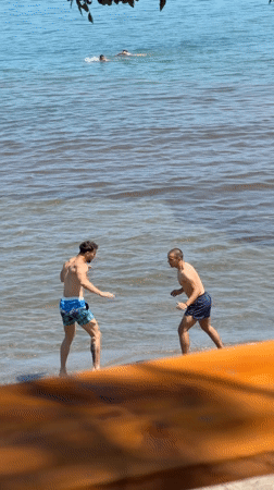 Beach scenes in Tsarevo show swimmers playing, person with rabbit