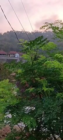 The video shows a natural landscape at dusk or dawn. There are trees and vegetation in the foreground, with power lines stretching across the frame. In the background, there are several buildings that appear to be part of a village or small settlement, nestled against a forested hillside. The sky is overcast with diffused light, suggesting either sunrise or sunset. There are no people visible in the video. The overall impression is one of a rural or semi-rural setting experiencing the transition between day and night.