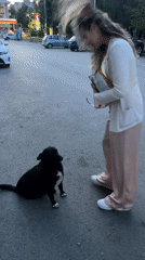 Woman plays with dog in Bulgarian city parking lot