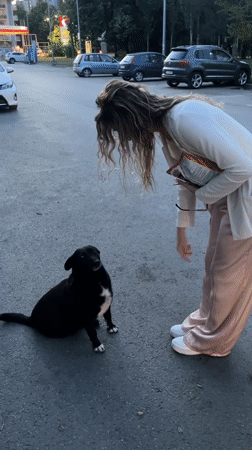 Woman plays with dog in Bulgarian city parking lot