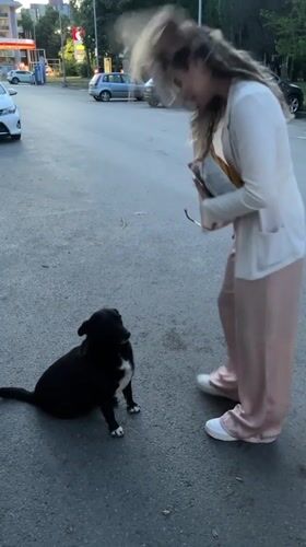 Woman plays with dog in Bulgarian city parking lot