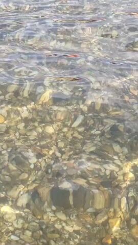 The video shows a shallow body of clear water with a rocky, pebbled bottom. Several small fish swim near the surface. The water is clear enough to see the pebbles clearly. The lighting suggests it is daytime and sunny. The camera is positioned at an angle looking down into the water.
