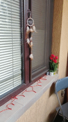 Personal spaces documented in Plovdiv home during afternoon hours