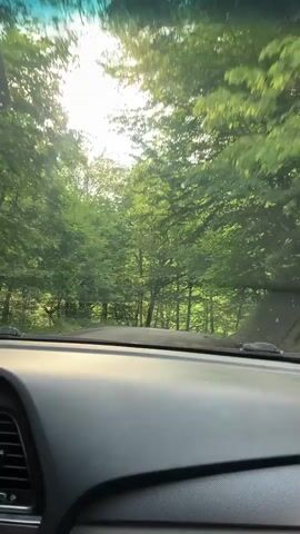 The video shows a first-person perspective from inside a vehicle, driving through a lush, green forest. Sunlight filters through the dense canopy of trees, creating dappled light and lens flares on the windshield. The road ahead is paved and appears to be winding through the forest. 

Several vehicles are visible on the road, including what appear to be campers or RVs, suggesting a scenic route or a popular recreational area. A few individuals can be spotted near the roadside. The scene is characterized by vibrant green foliage, indicating it is likely daytime and the weather is clear. The overall impression is one of a peaceful drive through a natural landscape. There is no visible text in the video. The setting is identified as Teghut, Armenia, known for its forests and natural beauty.