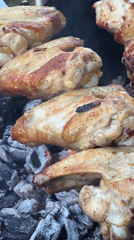 Backyard barbecue features grilled chicken and curious cat