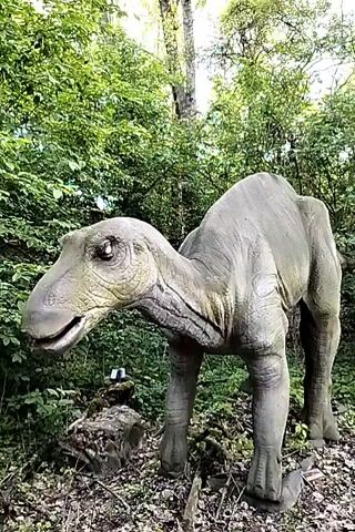 The video shows a life-sized, gray, plastic dinosaur model in a wooded area. The dinosaur is a herbivore, standing on four legs. It has a short tail and a duck-like bill. The dinosaur's mouth is open. The background is filled with trees and green foliage. The ground is covered with fallen leaves. The lighting suggests it is daytime.