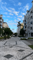 Evening documentation captures everyday Florianópolis street scenes and wildlife