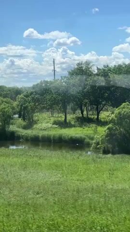 The video shows a view from a vehicle traveling through a landscape on a sunny day. The scene is dominated by lush green fields and trees. A body of water, possibly a stream or river, is visible in the middle ground, with its banks lined with vegetation. In the background, there is a line of trees, and beyond that, a utility pole is visible against a bright blue sky with scattered white clouds. The camera appears to be moving, causing the foliage to blur slightly. There are no people or discernible objects other than natural elements and a single man-made structure.