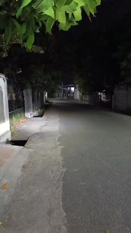 The video shows a dark, tree-lined street at night, illuminated by artificial lights. A motorcycle with its headlight on is the primary subject, moving from left to right across the frame. The motorcycle is traveling down the asphalt road, which appears wet, suggesting recent rain. The surrounding area is dark, with dense foliage from trees casting shadows. A sidewalk runs along the left side of the road, with a drain visible. Buildings or walls line the right side of the street. The overall atmosphere is quiet and somewhat eerie due to the darkness and the lone motorcycle. The time of day is clearly night, and there are no visible text elements in the video.
