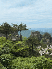 Man visits mountain observation deck in Jundiping forest area