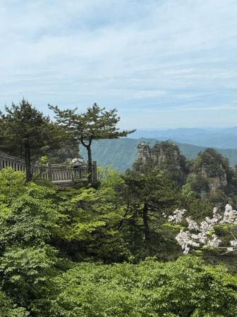 Man visits mountain observation deck in Jundiping forest area