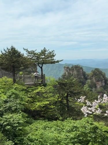 Man visits mountain observation deck in Jundiping forest area