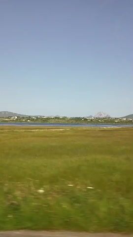 The video shows a rural landscape with a body of water in the middle ground and a gentle slope in the background. In the foreground, there is a grassy field with some scattered white flowers and a dirt path on the right side. In the middle ground, a calm blue body of water stretches across the scene. Beyond the water, there is a low-lying coastline dotted with buildings and wind turbines. The sky is clear and blue with no clouds visible. The camera appears to be moving, possibly from a vehicle, as indicated by the slight motion blur in the foreground.