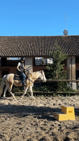 Person tends to horses in northern Italian stables