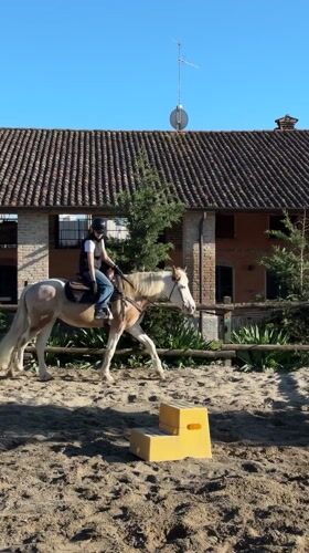 Person tends to horses in northern Italian stables