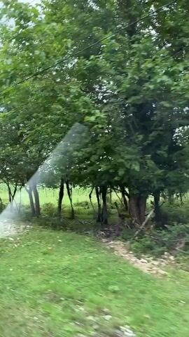 This is a short, shaky video captured from a moving vehicle, likely through a window. The view is of a rural landscape with lush green grass and trees. In the foreground, there appears to be a spray of water being emitted from the left side of the frame, possibly from a sprinkler system, creating a blurry effect on the glass. A wooden fence runs along the edge of the grassy area, and some wooden posts are visible. Beyond the fence, there are fields and more trees. The sky is overcast with gray clouds. The video transitions rapidly, showing different sections of the landscape as the vehicle moves. There are no people or distinct interactions visible. The overall environment appears to be natural and agricultural, with evidence of irrigation.