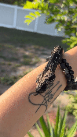 Cape Coral residents document snake handling, cat feeding incidents